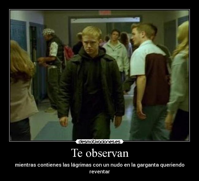 Te observan - mientras contienes las lágrimas con un nudo en la garganta queriendo reventar