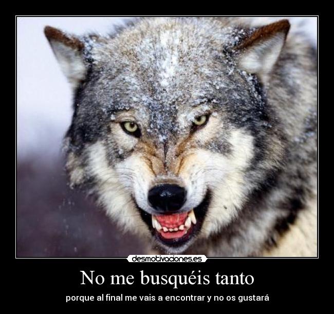 No me busquéis tanto -