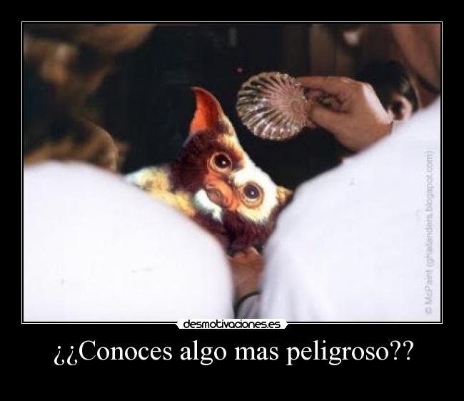 ¿¿Conoces algo mas peligroso?? - 