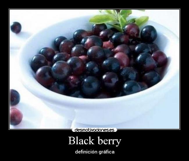 Black berry - definición gráfica