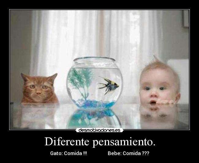 Diferente pensamiento. -