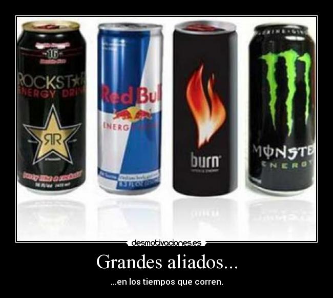 Grandes aliados... -