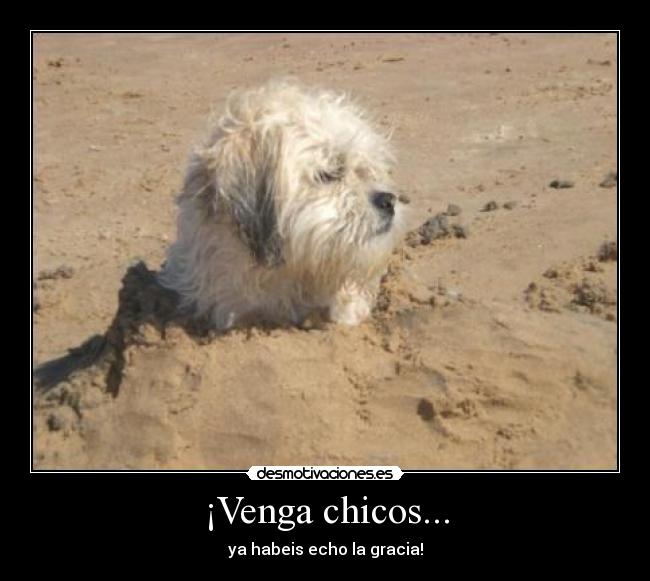 ¡Venga chicos... - ya habeis echo la gracia!