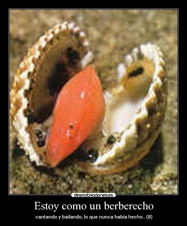 Estoy como un berberecho -