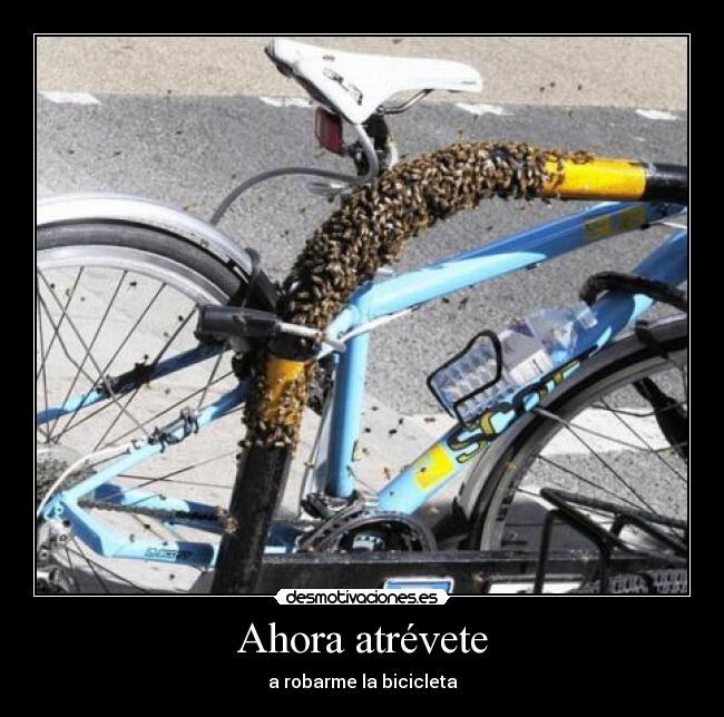 Ahora atrévete - a robarme la bicicleta
