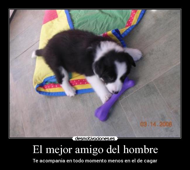 El mejor amigo del hombre - Te acompania en todo momento menos en el de cagar