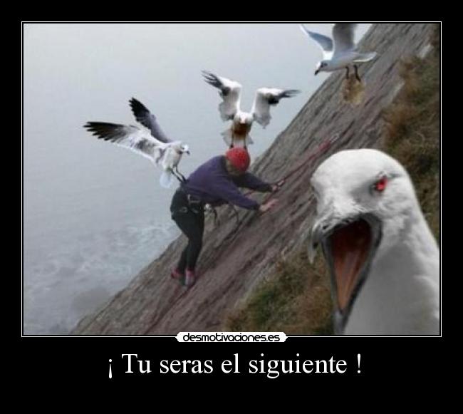 ¡ Tu seras el siguiente ! -