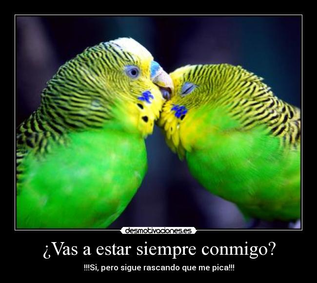 ¿Vas a estar siempre conmigo? -