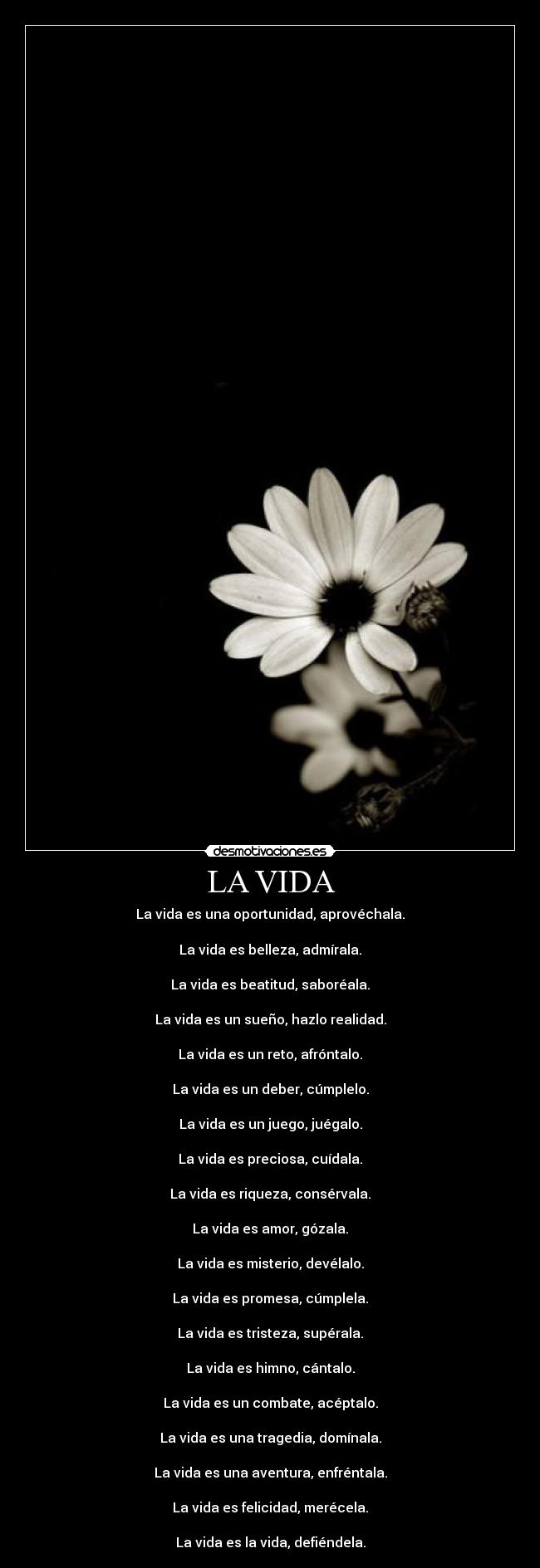 LA VIDA - La vida es una oportunidad, aprovéchala.
La vida es belleza, admírala.
La vida es beatitud, saboréala.
La vida es un sueño, hazlo realidad.
La vida es un reto, afróntalo.
La vida es un deber, cúmplelo.
La vida es un juego, juégalo.
La vida es preciosa, cuídala.
La vida es riqueza, consérvala.
La vida es amor, gózala.
La vida es misterio, devélalo.
La vida es promesa, cúmplela.
La vida es tristeza, supérala.
La vida es himno, cántalo.
La vida es un combate, acéptalo.
La vida es una tragedia, domínala.
La vida es una aventura, enfréntala.
La vida es felicidad, merécela.
La vida es la vida, defiéndela.