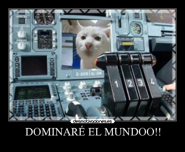 carteles dominio desmotivaciones