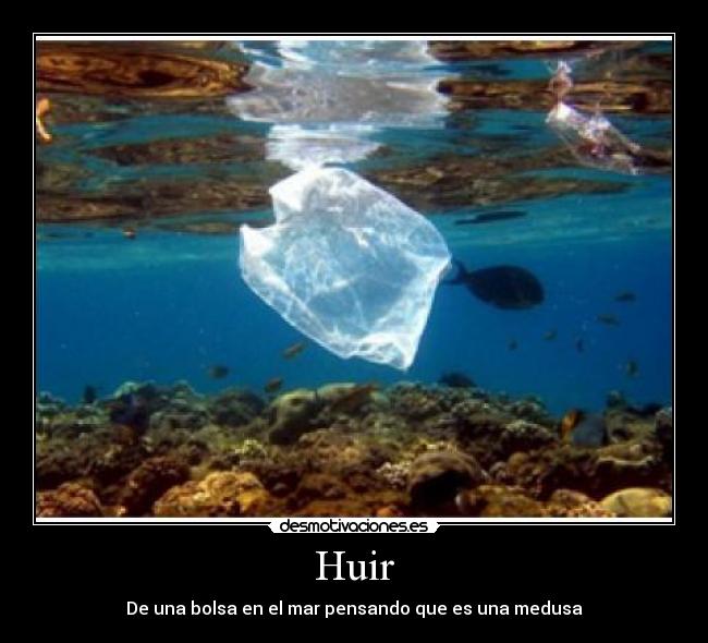 Huir - De una bolsa en el mar pensando que es una medusa