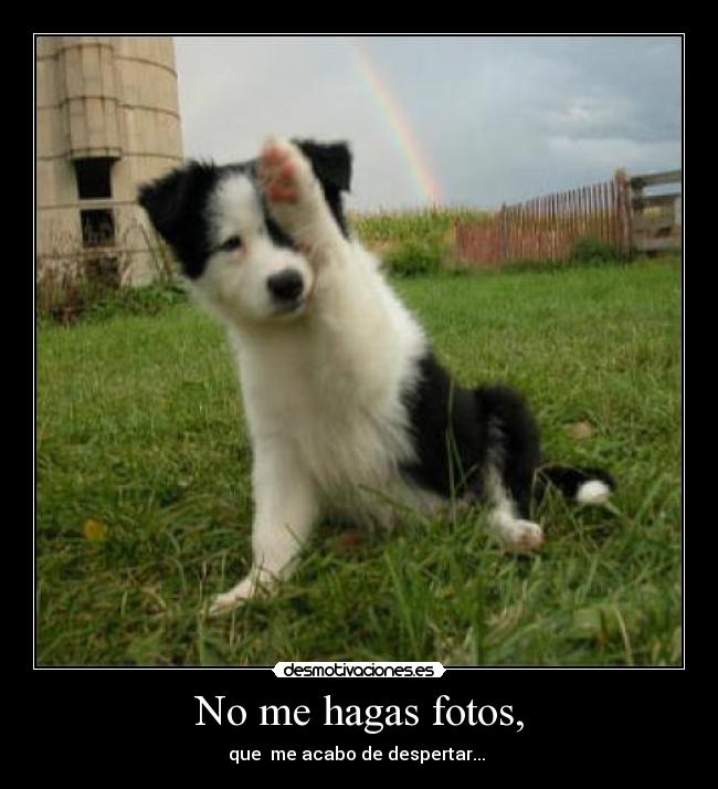 No me hagas fotos, - 