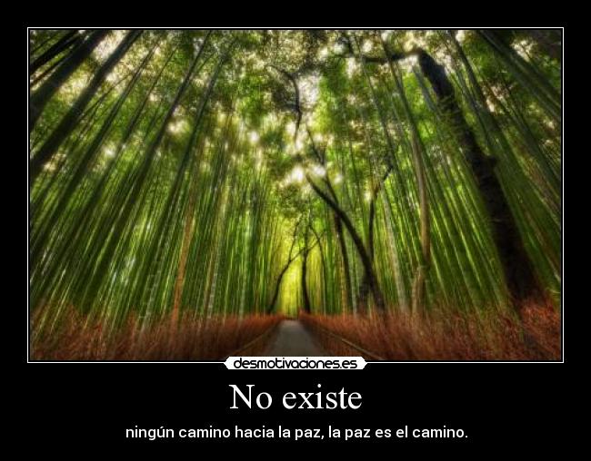 No existe - 