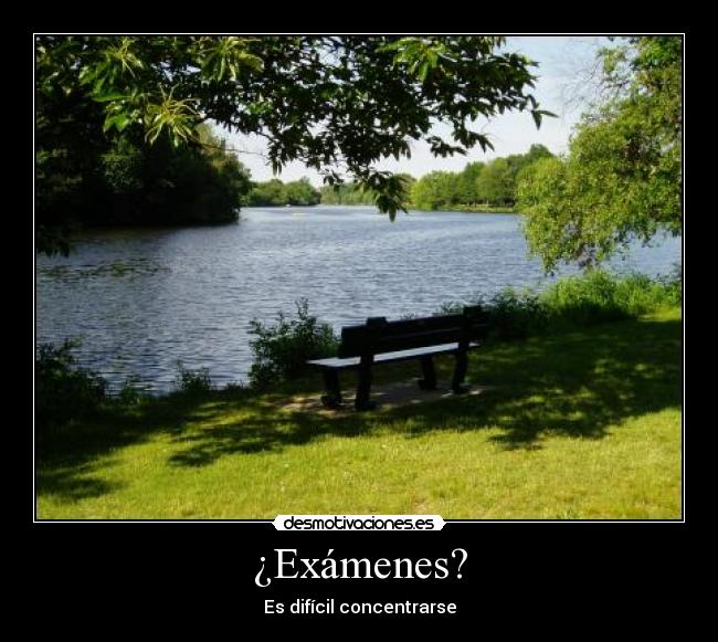 ¿Exámenes? - Es difícil concentrarse