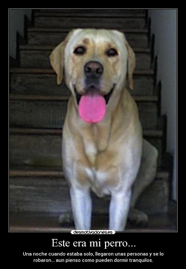 Este era mi perro... -