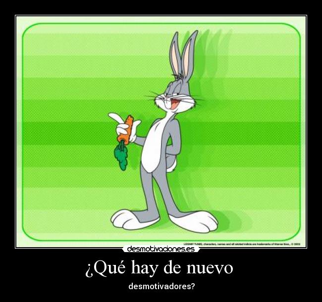 ¿Qué hay de nuevo  - 