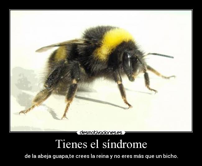 Tienes el síndrome -