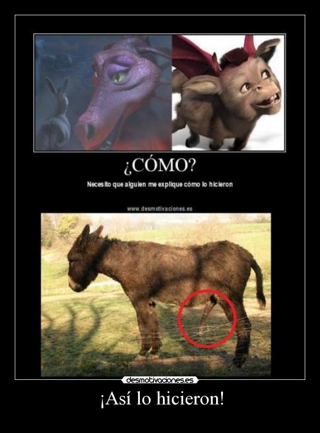 ¡Así lo hicieron! -