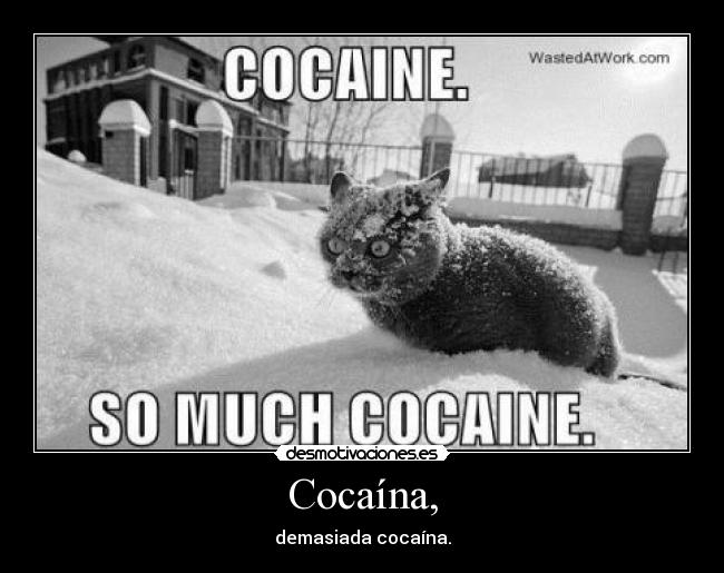 Cocaína, - 