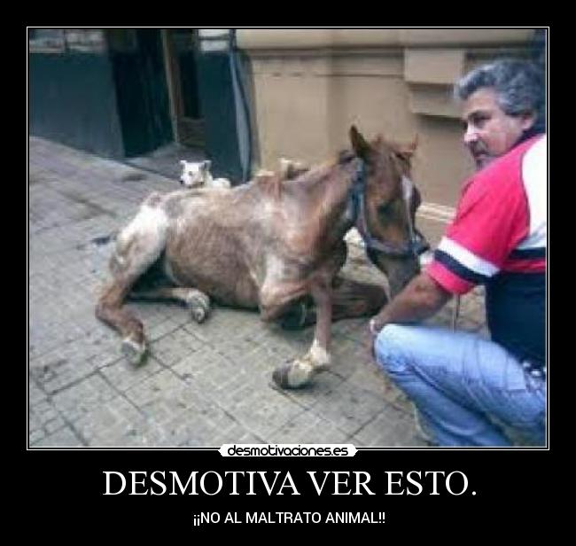 DESMOTIVA VER ESTO. - ¡¡NO AL MALTRATO ANIMAL!!