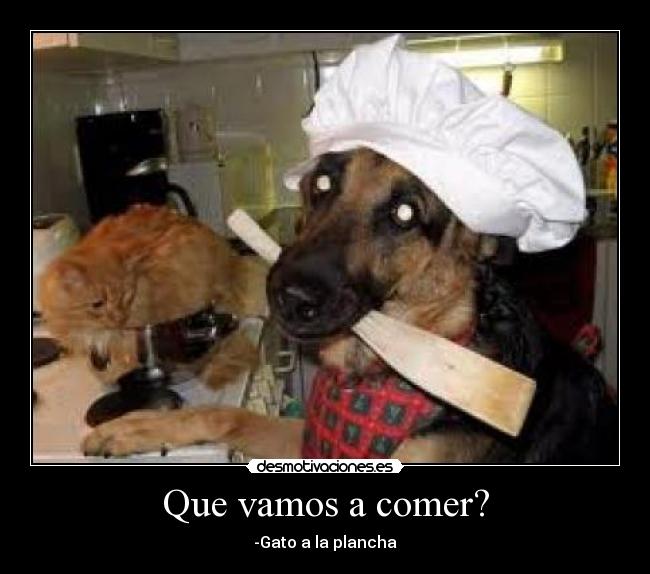 Que vamos a comer? -