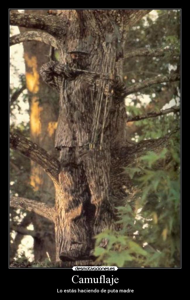 Camuflaje -
