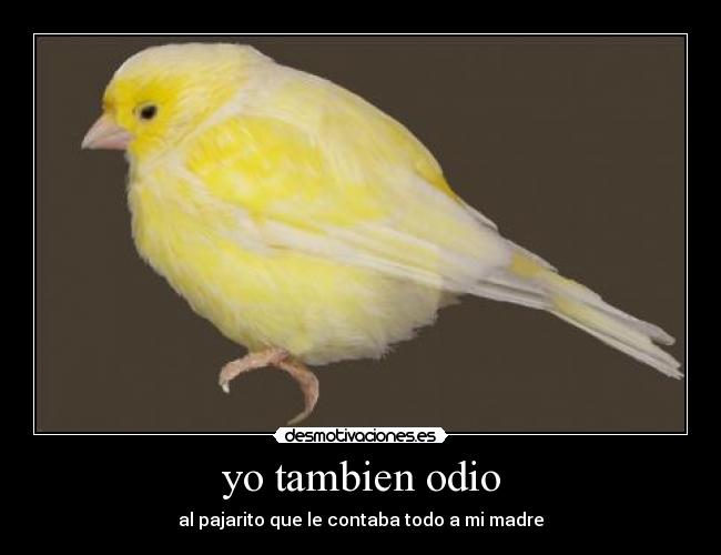 yo tambien odio -