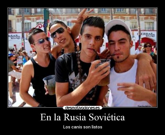 En la Rusia Soviética - Los canis son listos