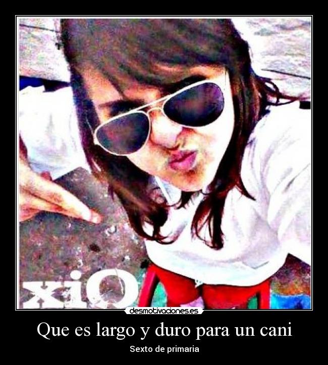 Que es largo y duro para un cani - 