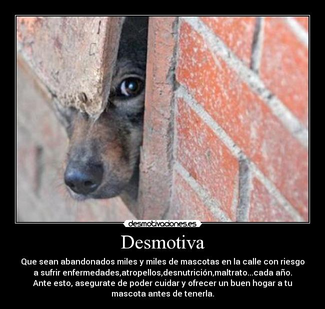Desmotiva - Que sean abandonados miles y miles de mascotas en la calle con riesgo
a sufrir enfermedades,atropellos,desnutrición,maltrato...cada año.
Ante esto, asegurate de poder cuidar y ofrecer un buen hogar a tu
mascota antes de tenerla.