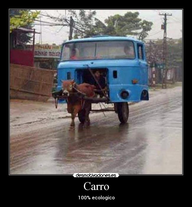 Carro - 100% ecologico