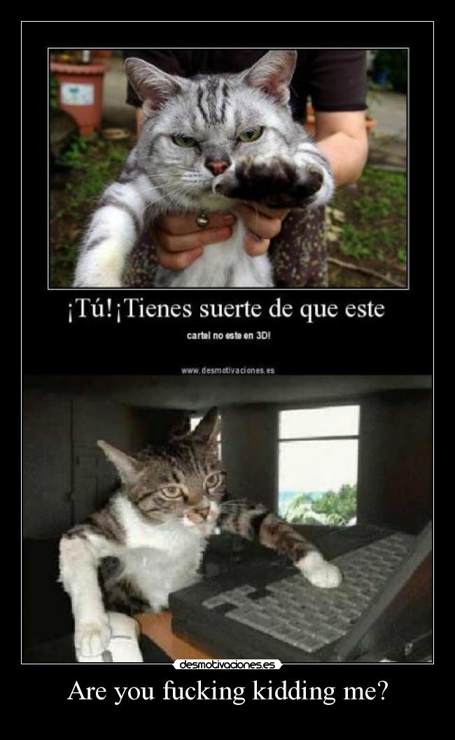 Are you fucking kidding me? -