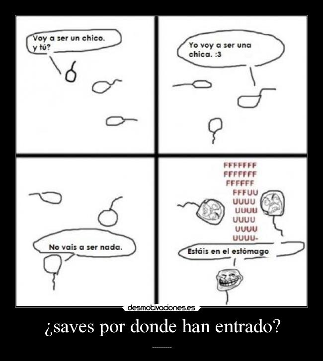 ¿saves por donde han entrado? - 