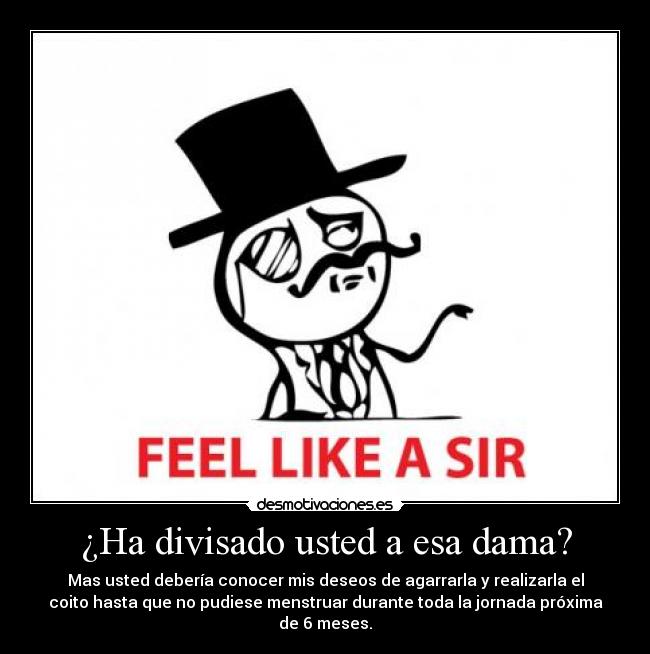 carteles feel like sir dama desmotivaciones