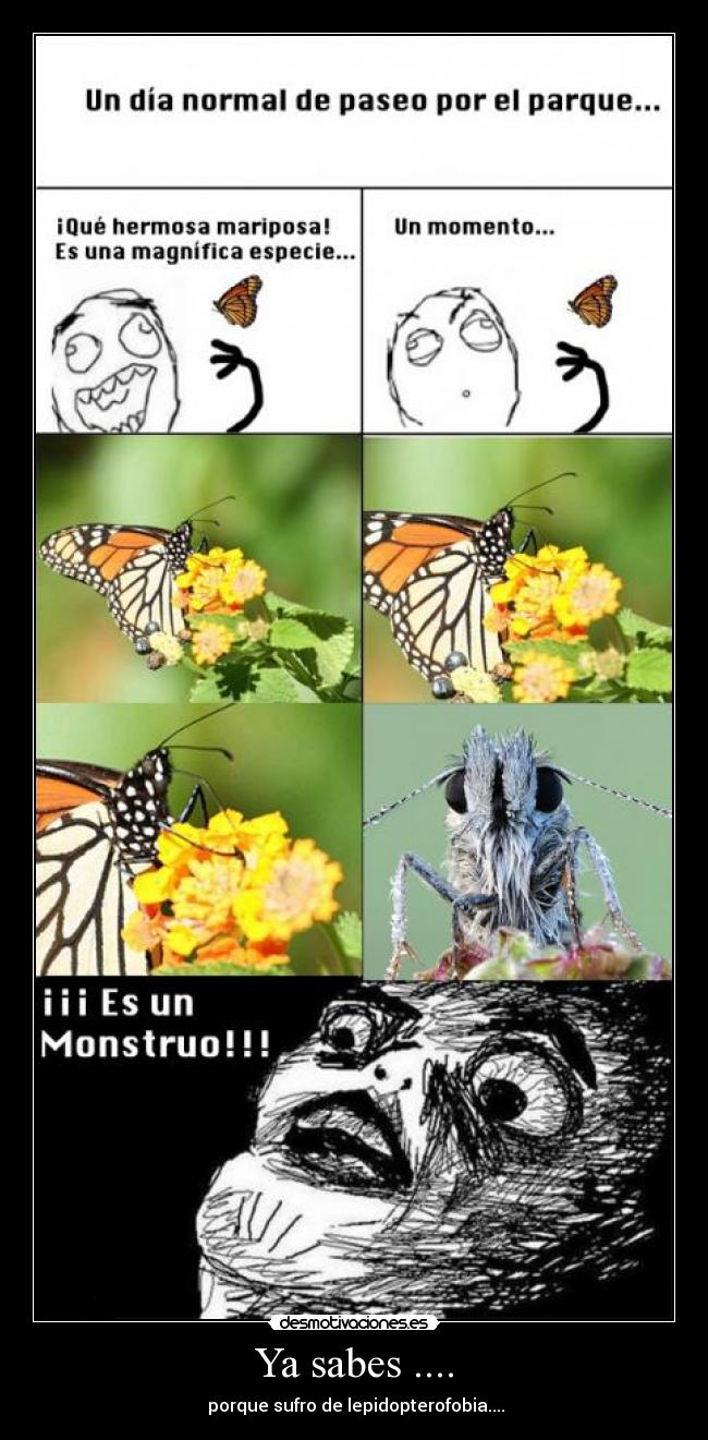 Ya sabes .... - porque sufro de lepidopterofobia....
