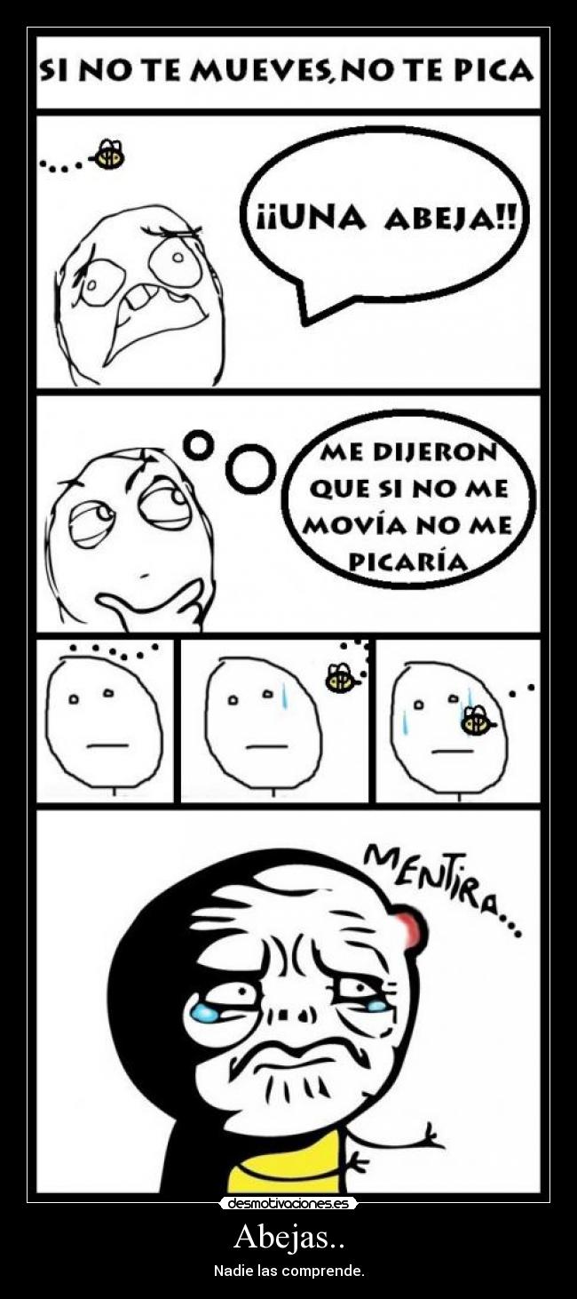 Abejas.. - Nadie las comprende.
