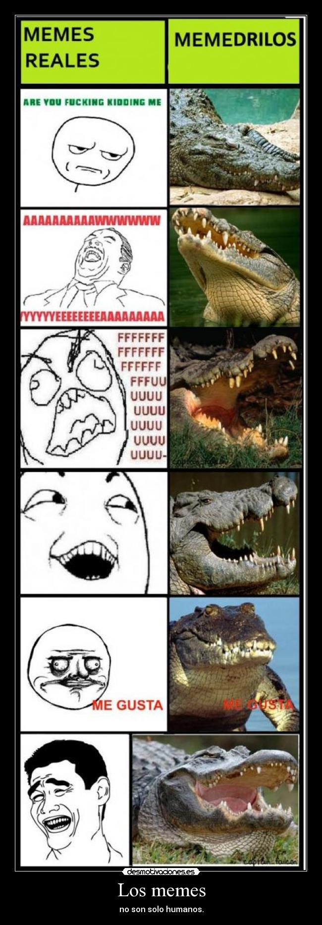 Los memes -