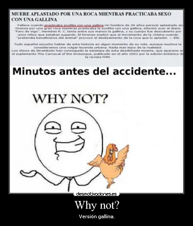 Why not? - Versión gallina.
