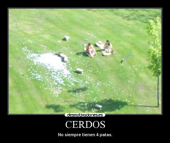 CERDOS -