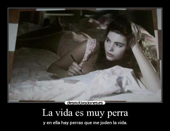 La vida es muy perra - 