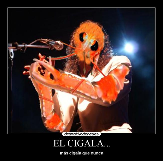 EL CIGALA... -