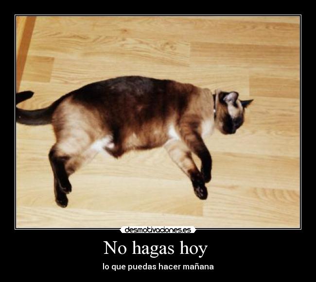 No hagas hoy  - lo que puedas hacer mañana