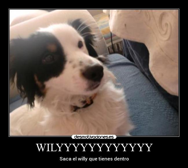 WILYYYYYYYYYYYY - Saca el willy que tienes dentro
