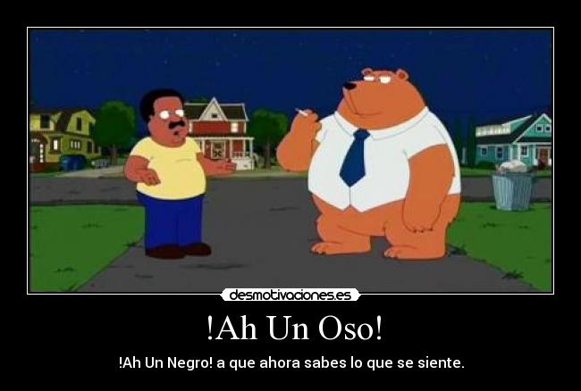 carteles oso desmotivaciones