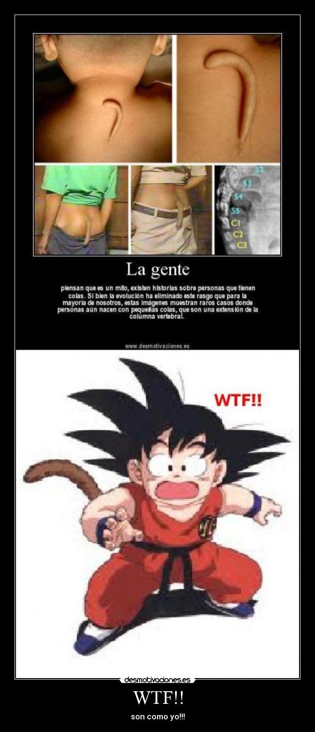 WTF!! - son como yo!!!