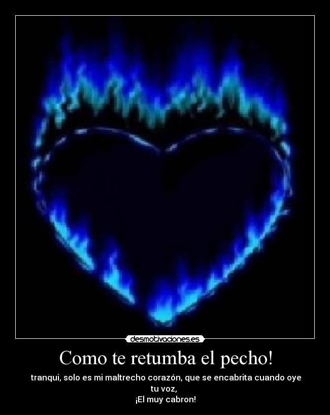 Como te retumba el pecho! - tranqui, solo es mi maltrecho corazón, que se encabrita cuando oye tu voz,
¡El muy cabron!
