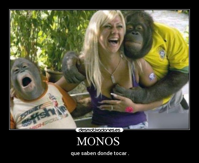 MONOS -