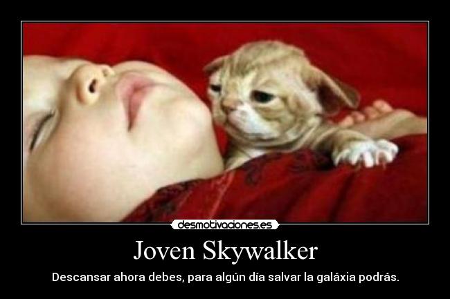 Joven Skywalker - Descansar ahora debes, para algún día salvar la galáxia podrás.