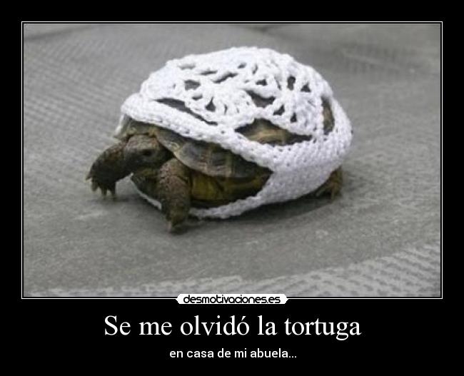 carteles tortuga desmotivaciones