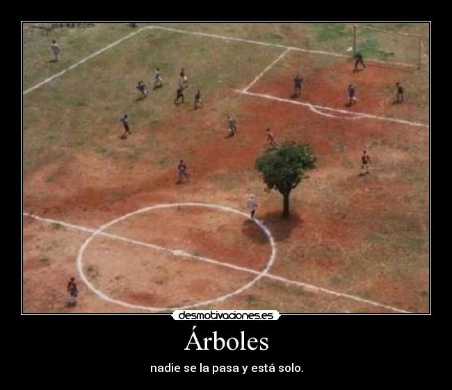 Árboles - nadie se la pasa y está solo.